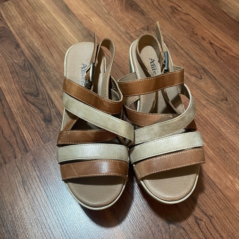 Antelope Wedges